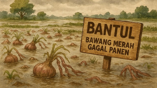 Banjir Bantul Rusak Ribuan Hektare Sawah, BPBD Siapkan Mitigasi