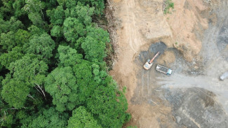 Bencana Hidrometeorologi Jadi Alarm Reforestasi