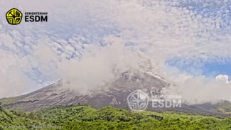 Aktivitas Merapi Masih Tinggi, Guguran Lava Teramati Hingga 2 Kilometer