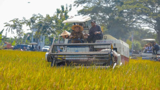 Produksi Pangan Jateng Lampaui Target, 2026 Dipatok Tahun Swasembada