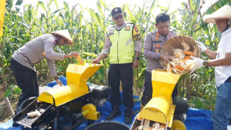Polda Jateng Panen Raya Jagung, Sinergi Polri–Petani Perkuat Ketahanan Pangan
