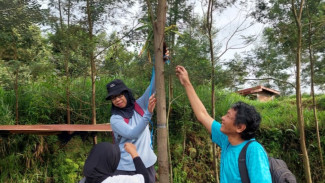 Mahasiswa KKN UGM Hijaukan Lereng Merapi dengan Anggrek Vanda Tricolor