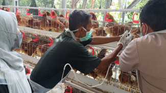 Pemkot Yogyakarta Perkuat Program Vaksinasi Hewan