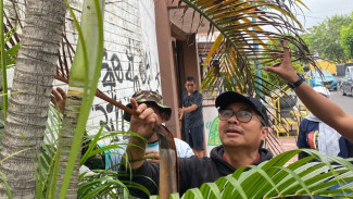 “Jogja Tanpa Rumput”, Ciptakan Kota Bersih dan Rapi