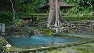 Jejak Sejarah Tersembunyi Sendang Surocolo di Perbukitan Pundong Bantul
