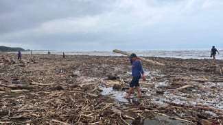 Viral Kayu Gelondongan di Pantai Larangan, Kapolres Tegal dan Perhutani Pastikan Bukan Aktivitas Ilegal