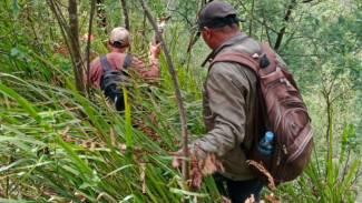 Pencarian Pendaki Hilang di Gunung Mongkrang Diperpanjang Tiga Hari, Fokus Area Pos 3