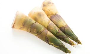 Rebung, Superfood Lokal yang Mulai Dilirik Dunia Kesehatan