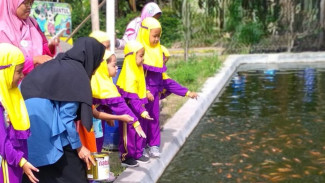 Desa Wisata Kaji Luncurkan Angkringan dan Wisata Ikan Hias, Menatap Panggung Dunia