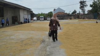 Kota Yogyakarta Jajaki Kerja Sama dengan Kulonprogo untuk Jaga Stabilitas Pangan
