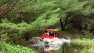 JEWIGA, Wisata Jeep Glagah yang Menyuguhkan Petualangan Pantai Kulonprogo