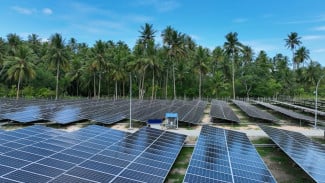 PLTS Atap Meningkat, Akademisi UGM Dorong Pemerintah Perkuat Transisi Energi