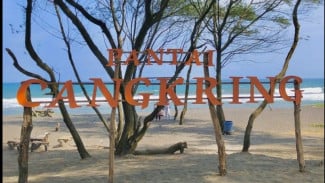 Pantai Cangkring Bantul, Surga Pasir Putih Low Budget Favorit Healing dan Camping