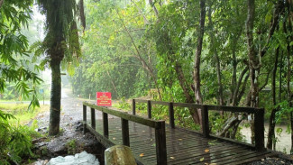 Pembangunan Jembatan Darurat Donomerto, Akses Warga Kembali Terhubung
