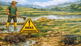 Lonjakan Kasus Leptospirosis di Gunungkidul, Petani Jadi Kelompok Paling Rentan