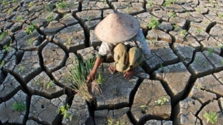 Antisipasi Kemarau Panjang, Petani Perlu Mitigasi Risiko Gagal Tanam dan Panen