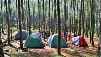 Puncak Becici: Harmoni Pinus, Senja, dan Sejarah di Dlingo