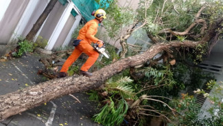 BPBD Yogyakarta Perkuat Kesiapsiagaan Hadapi Cuaca Ekstrem