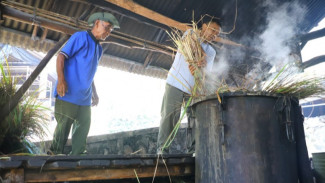 Minyak Atsiri Dlingo Jadi Sumber Ekonomi Baru Warga