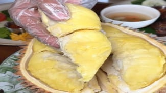 Duren Estetik di Sleman, Makan Raja Buah Tanpa Ribet dan Tetap Instagramable