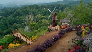 Seribu Batu Songgo Langit, Fantasi Alam di Hutan Pinus Mangunan