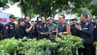 Gerakan 1000 Rumah Tanam Cabai di Karanganyar, Target Tembus 1 Ton Panen