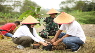 Gayam, Simbol Teduh dan Konservasi Air di Borobudur