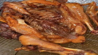 Ayam Goreng Solo Naik Level! Bacem Manis Legit vs Ungkep Gurih, Mana yang Lebih “Ngena”?