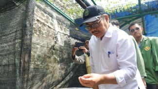 Semai Pohon Gambir, Pemkot Yogyakarta Hidupkan Kembali Identitas Kampung Gambiran