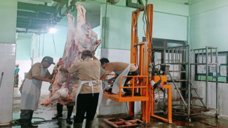 Pemkot Yogyakarta Dorong Warga Gunakan RPH Giwangan untuk Kurban Aman dan Halal
