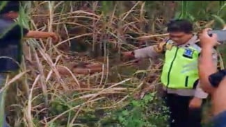 Sudah Dua Pekan Hilang, Lansia Ditemukan Meninggal di Kebun Tebu  ‎