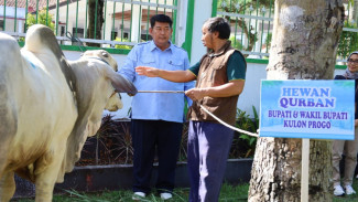 Gotong Royong Warga Kulonprogo Warnai Penyaluran Hewan Kurban Iduladha