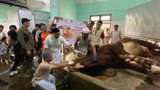 Sapi Kurban Presiden Prabowo, Dipotong secara Higienis di RPH Giwangan