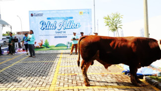 Idul Adha 1447 H, YBM PLN UP3 Grobogan Salurkan Daging Qurban