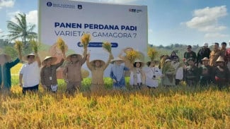 UGM Dorong Kemandirian Benih Lokal untuk Masa Depan Pangan Nasional