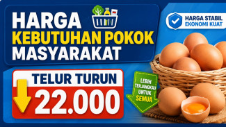 Harga Telur Ayam Ras di Jepara Turun Jadi Rp22 Ribu per Kilogram