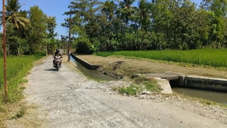 Jadi Jalur Penting, Warga Desak Jalan Inspeksi Utara Stasiun Sentolo yang Sudah 5 Tahun Rusak Segera Diperbaiki