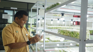 Yogyakarta Genjot Kultur Jaringan Pisang untuk Penuhi Permintaan Bibit Nasional