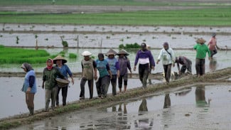 Revisi UU Perlindungan Petani Fokus pada Regenerasi dan Kesejahteraan