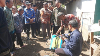 Sawah Terpal di Gunungkidul, Inovasi Pertanian Lahan Kering untuk Masa Depan