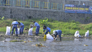 Hari Sungai Nasional, Pemkot Yogya Hijaukan Code dengan Tanaman Air Mata Pengantin