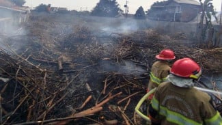 Pemkot Yogya Larang Bakar Sampah Saat Kemarau, Antisipasi Kebakaran Lahan