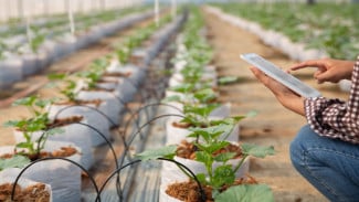 UGM Dorong Pertanian Regeneratif Lewat Smart Eco Bioproduction