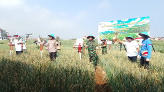 Polda Jateng Dorong Bawang Putih Tawangmangu Naik Kelas, Produktivitas Tembus 15 Ton per Hektare