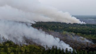 Guru Besar UGM Ingatkan Karhutla Bukan Sekadar Krisis, Perlu Ekosistem Penjagaan Hutan Permanen