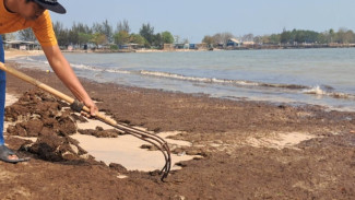 ‎Dugaan Limbah Tambak Cemari Pantai Pailus Jepara, DLH Segera Turun Investigasi
