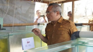 Bantul Kembangkan Inovasi Budidaya Air Payau untuk Dorong Ekonomi Pesisir