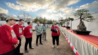 Ratusan Bonsai Tampilkan Ketangguhan Gunungkidul di Handayani Bonsai Festival II