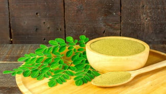 Mahasiswa UGM Uji Potensi Daun Kelor sebagai Pelindung Otak Korban Perundungan