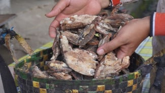 Dosen UGM Dorong Hilirisasi Kemenyan, Nilai Ekonomi Bisa Naik 20 Kali Lipat